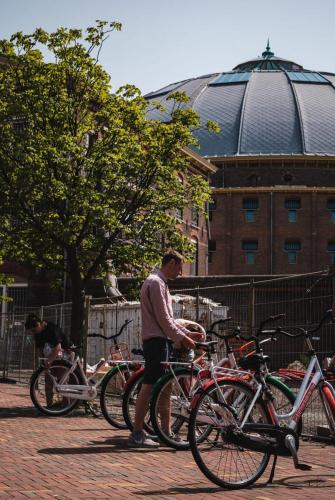fietstours-in-haarlem-met-gids-leukste-activiteit-van-haarlem-fietsen-tours-todo-bike-tours-haarlem-biketourshaarlen-12