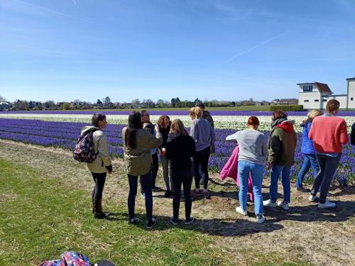fietstours-in-haarlem-met-gids-leukste-activiteit-van-haarlem-fietsen-tours-todo-bike-tours-haarlem-biketourshaarlen-16