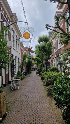 fietstours-in-haarlem-met-gids-leukste-activiteit-van-haarlem-fietsen-tours-todo-bike-tours-haarlem-biketourshaarlen-26