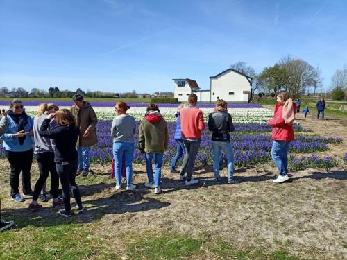 fietstours-in-haarlem-met-gids-leukste-activiteit-van-haarlem-fietsen-tours-todo-bike-tours-haarlem-biketourshaarlen-4