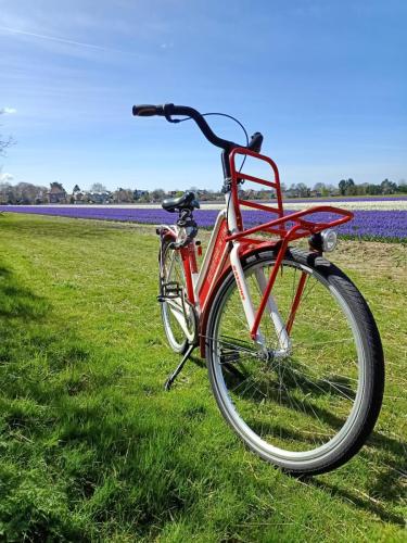 fietstours-in-haarlem-met-gids-leukste-activiteit-van-haarlem-fietsen-tours-todo-bike-tours-haarlem-biketourshaarlen-40
